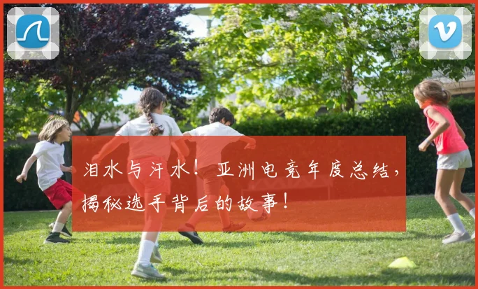 泪水与汗水!亚洲电竞年度总结,揭秘选手背后的故事!