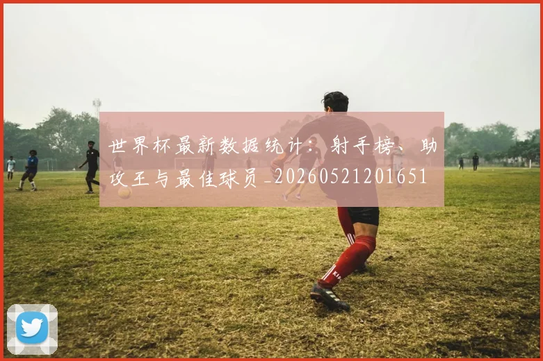 世界杯最新数据统计：射手榜、助攻王与最佳球员_20260521201651